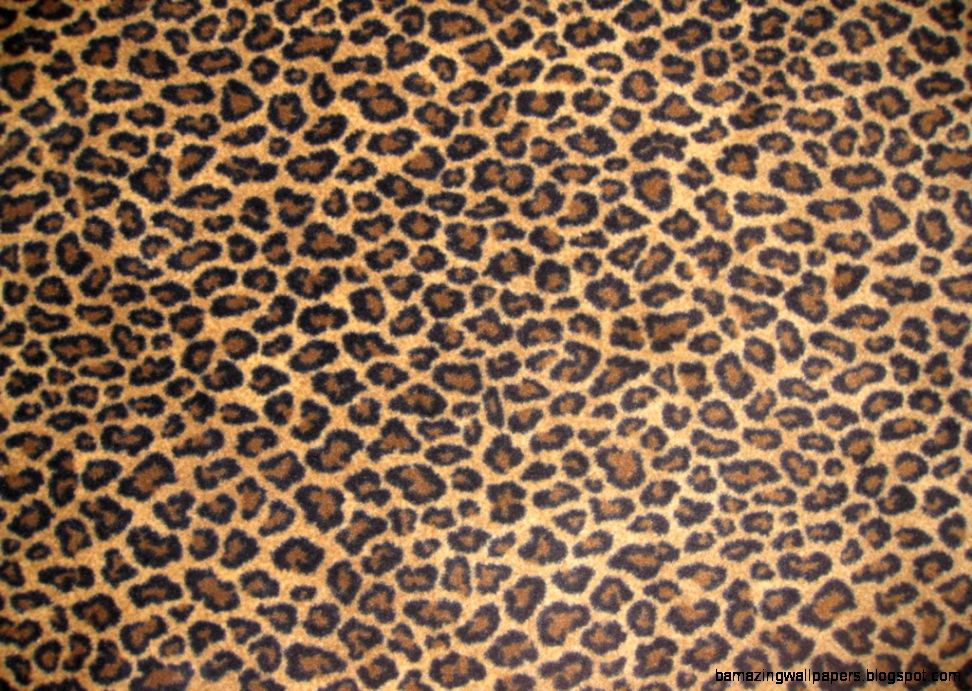 Baby Cheetah Print Wallpaper