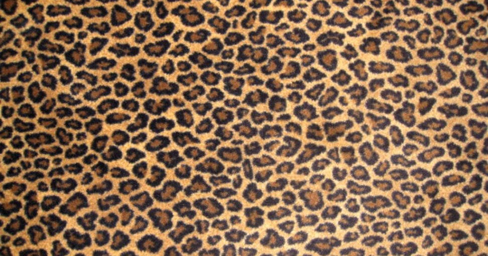 Baby Cheetah Print Wallpaper | Amazing Wallpapers