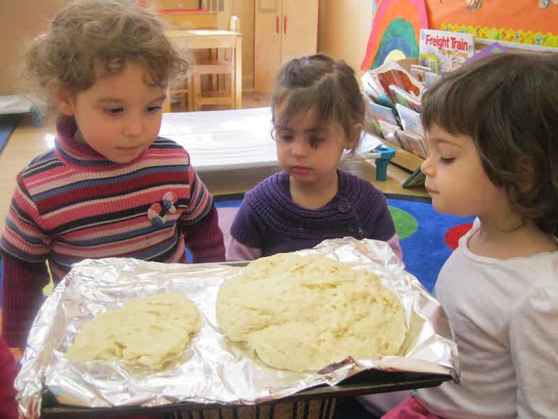 Morah Frumie's Blog yeast experiments!