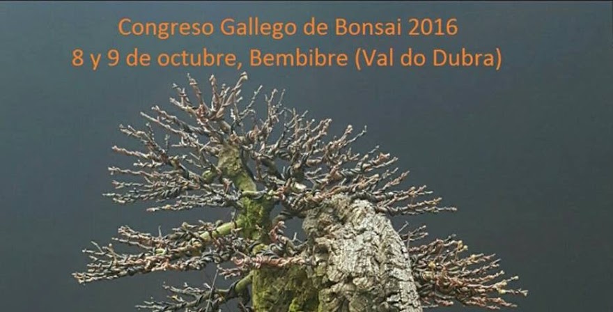 CONGRESO GALLEGO DE BONSAI