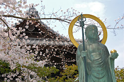 hanami kyoto sakura blossom cherry gardener traveling disaster triple less month japan than north