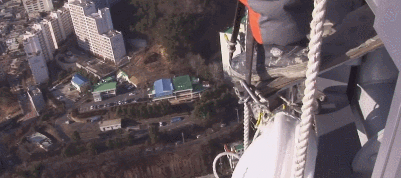 일당 40만원 직업