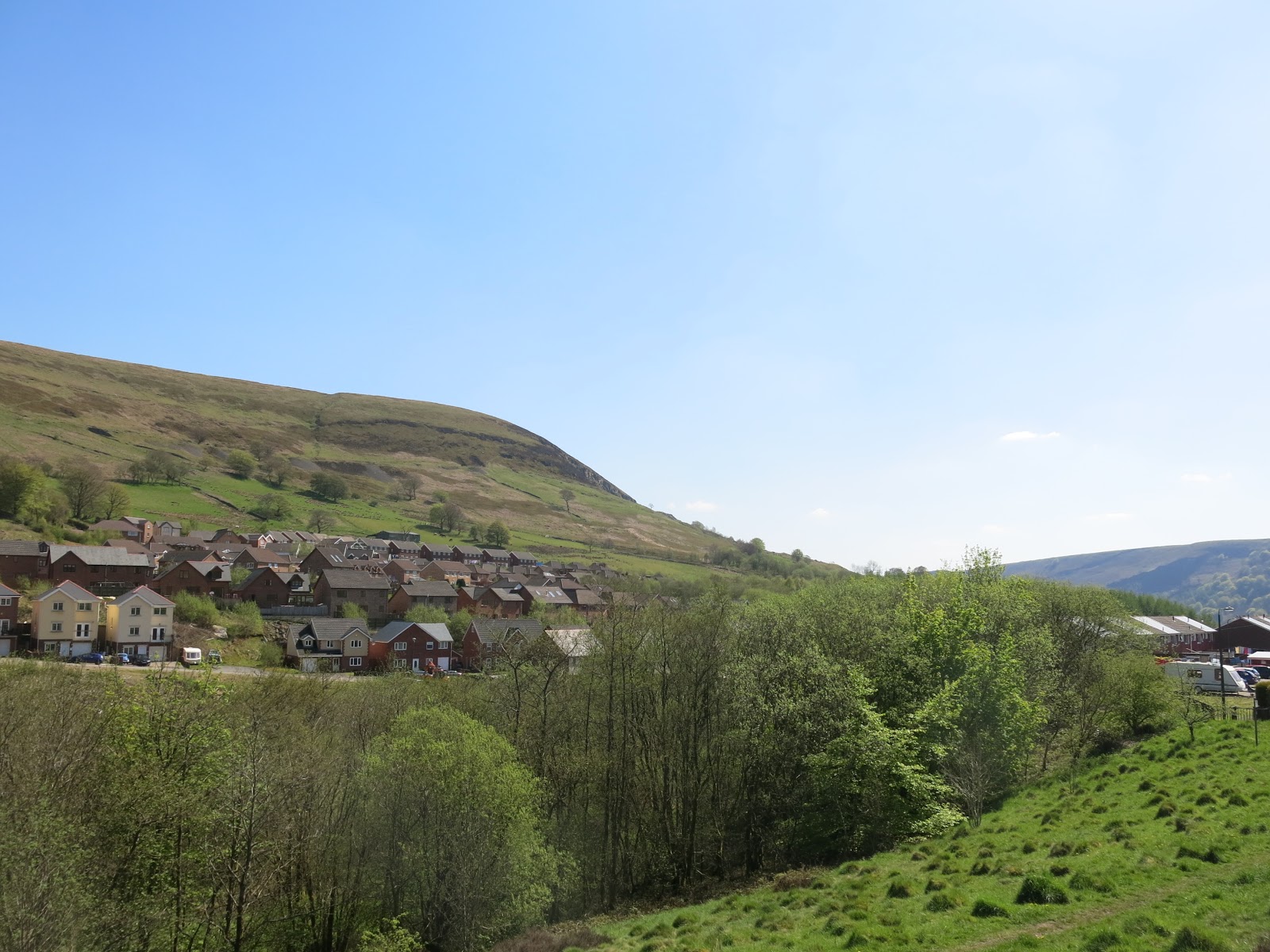 South Wales Bryophytes Cwm Celyn revisited 27 years on