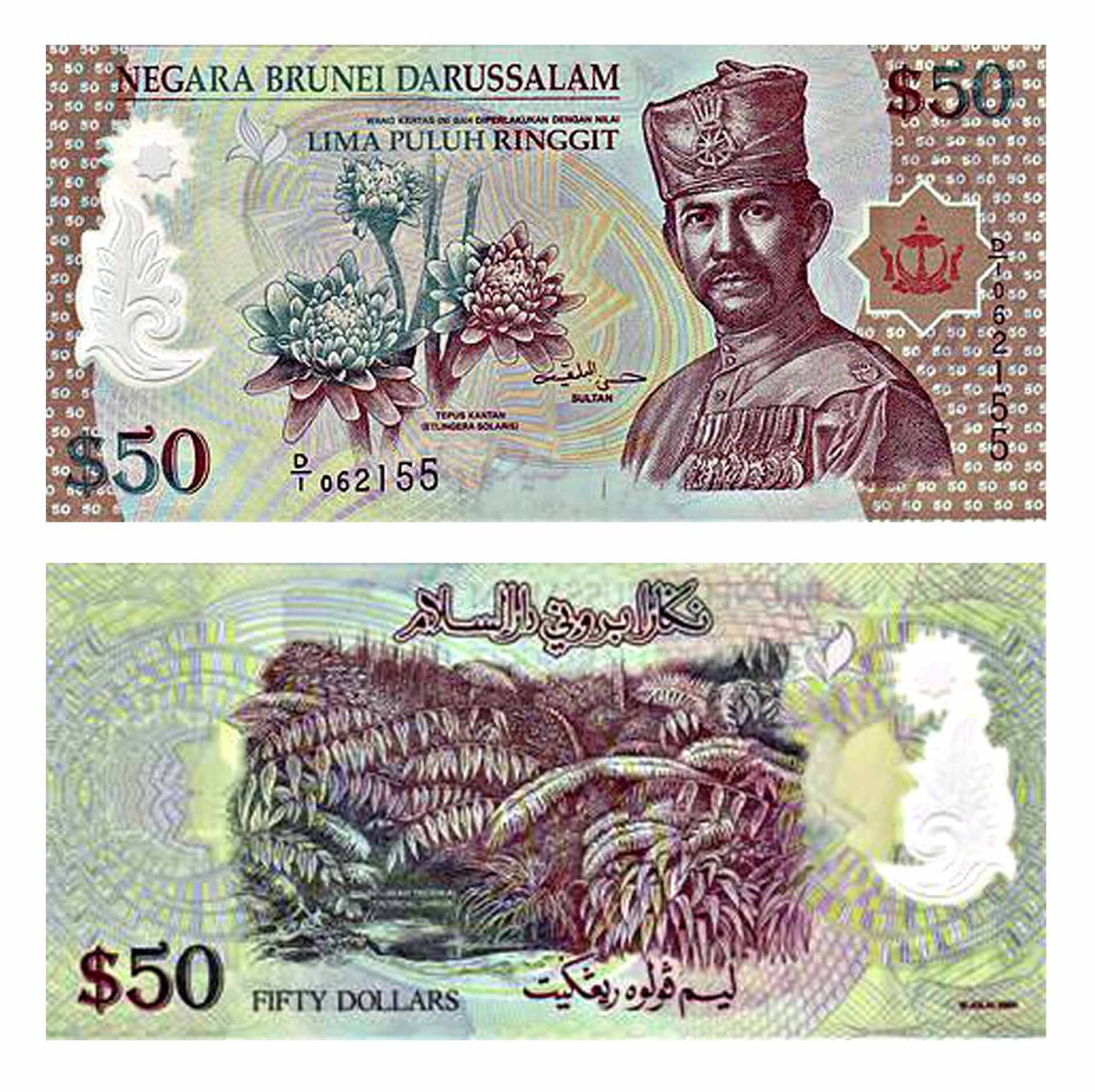 Banknote In Circulation Brunei