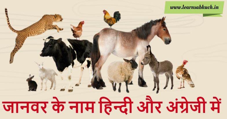 जानवर के नाम हिन्‍दी और अंग्रेजी में - Name of Animal in Hindi and
