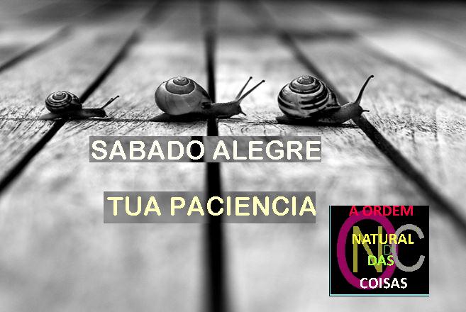 TUA PACIENCIA-SABADO ALEGRE