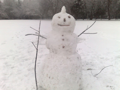 Photo of a real snowman