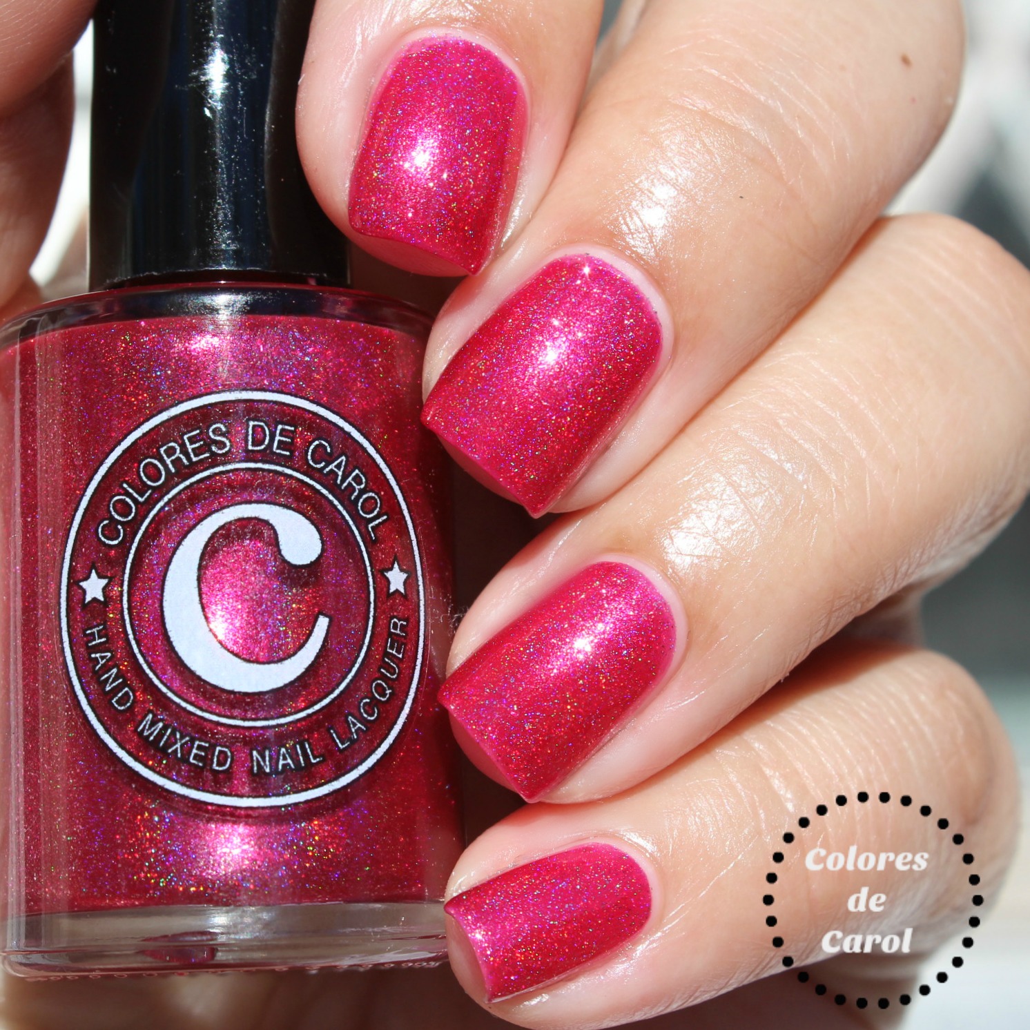 Colores de Carol Colores de Carol Winter/Holiday 2016