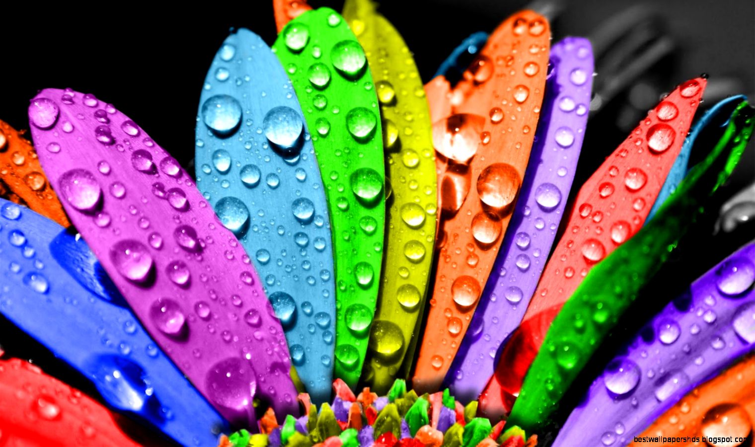 Cool wallpapersbackgrounds For Iphone   HD Widescreen Wallpapers