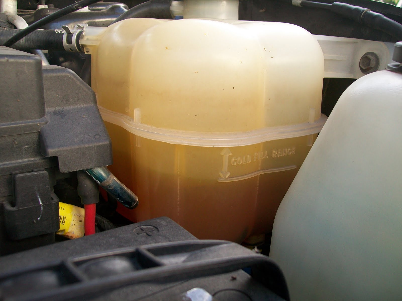 Preventative Maintenance, Part 3; Checking Engine Coolant Daddy D's