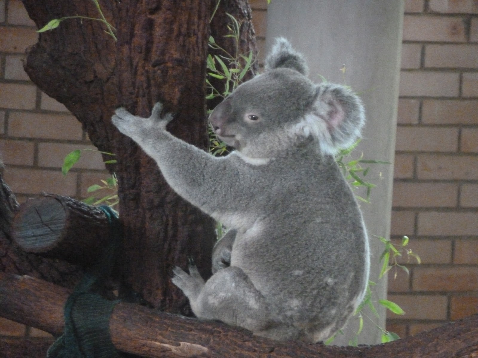 Jo'Blog Pretoria Zoo