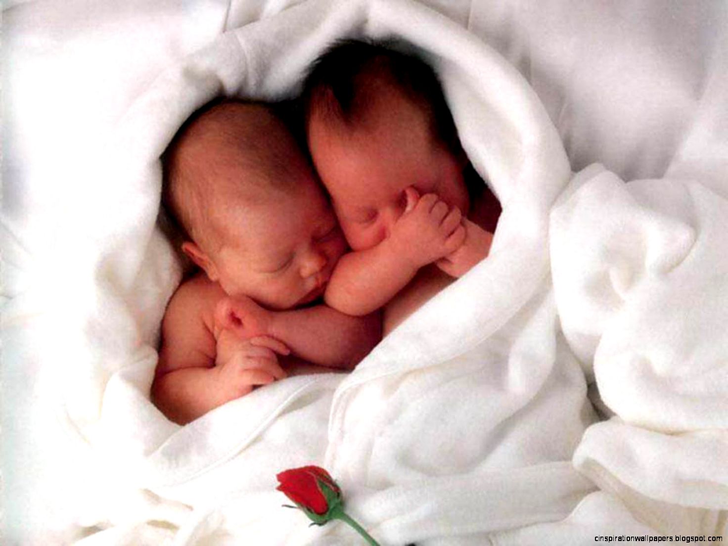 Cute Newborn Twin Babies