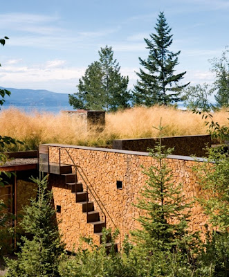 Casa con techo ecológico - Arquitectura 