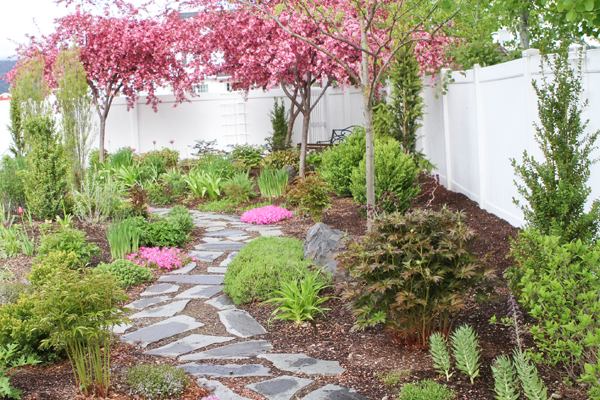 VW Garden: Columnar Trees and Shrubs for Privacy