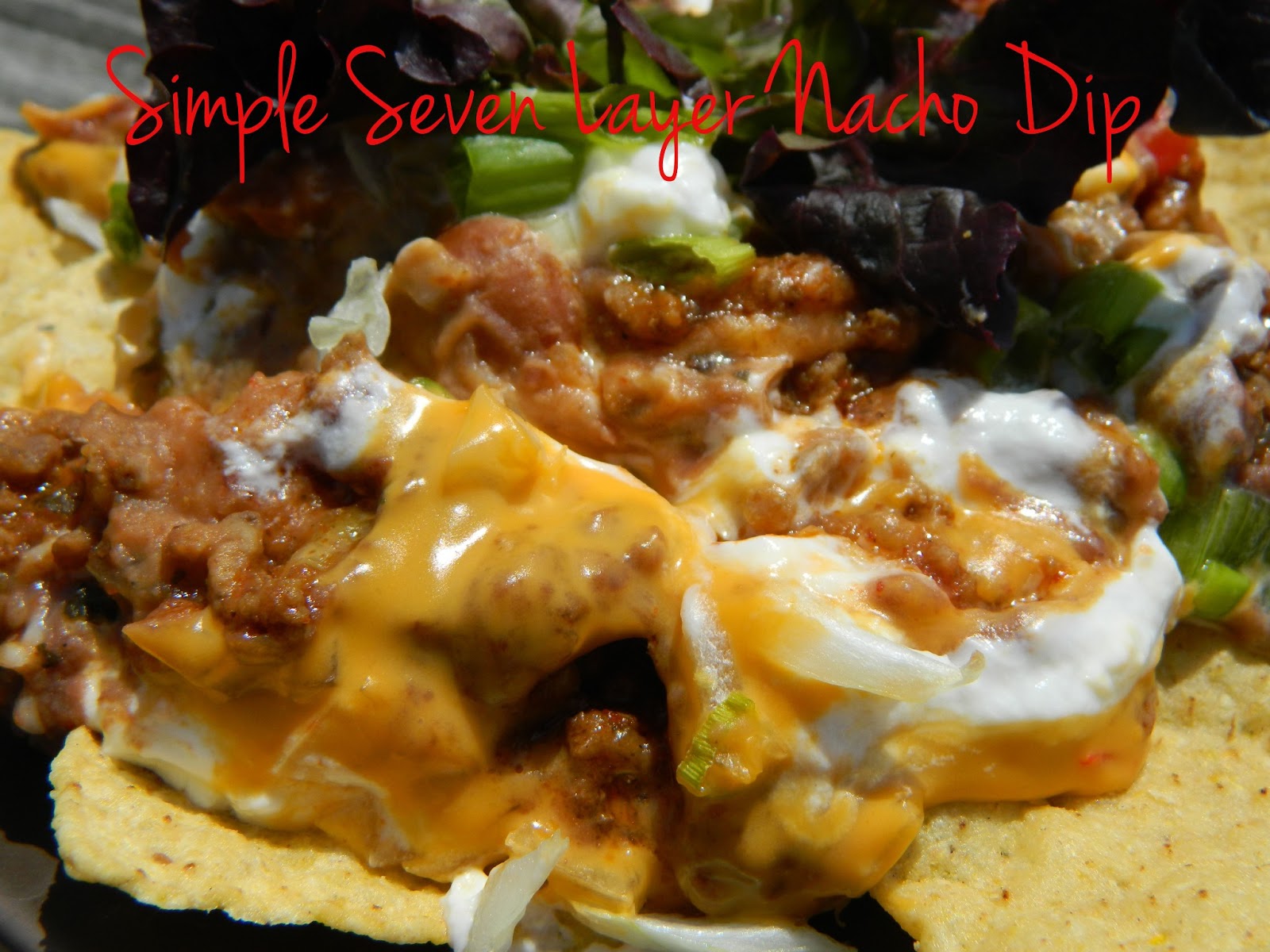 my-favorite-things-simple-seven-layer-nacho-dip