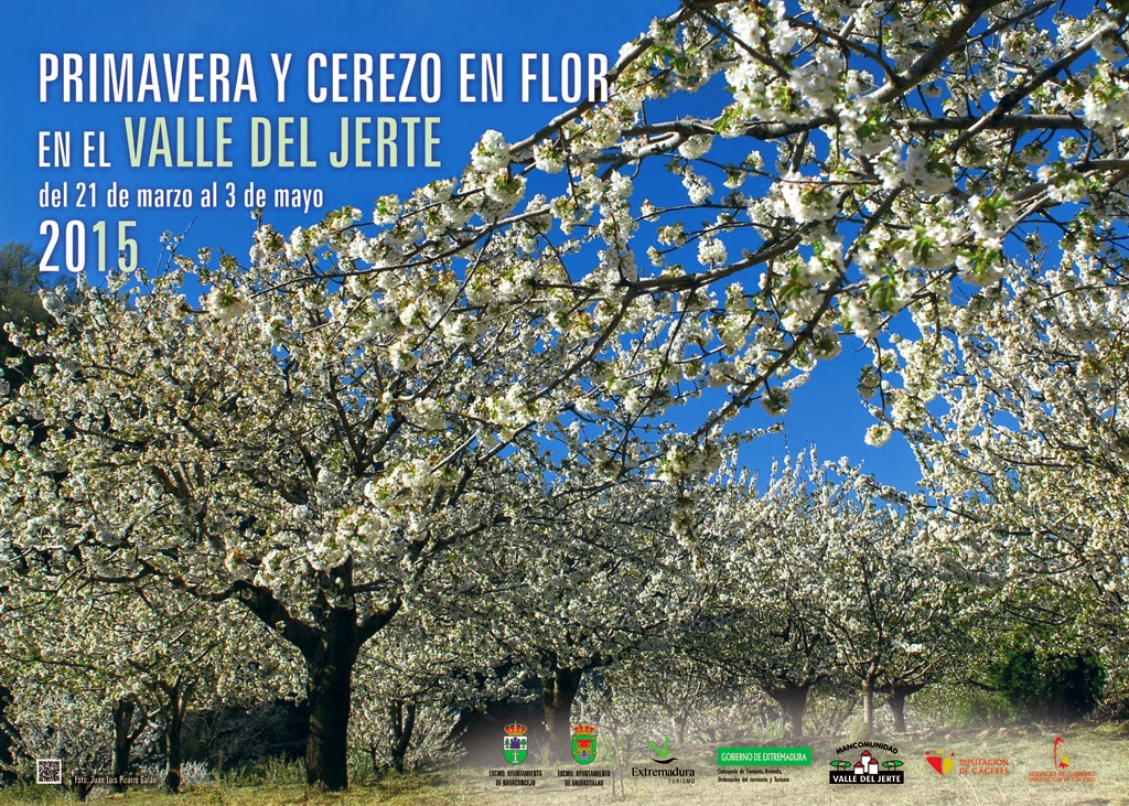 valle del jerte cerezos en flor