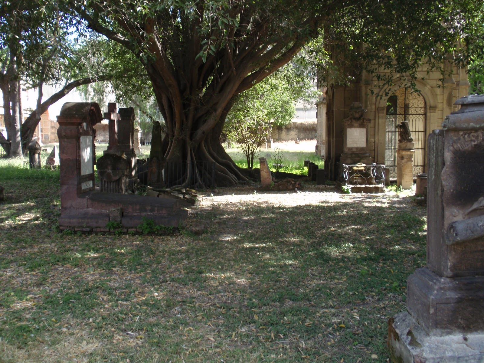 Mitos y leyendas en Jalisco: Leyendas que cobran vida en panteón de Belén