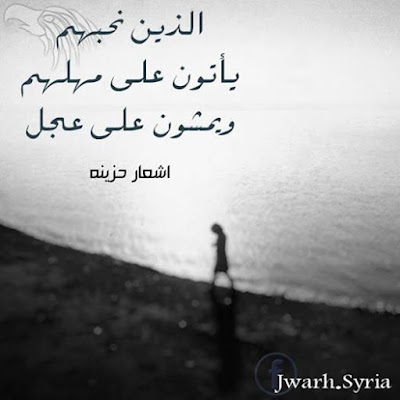 341847_dreambox-sat.