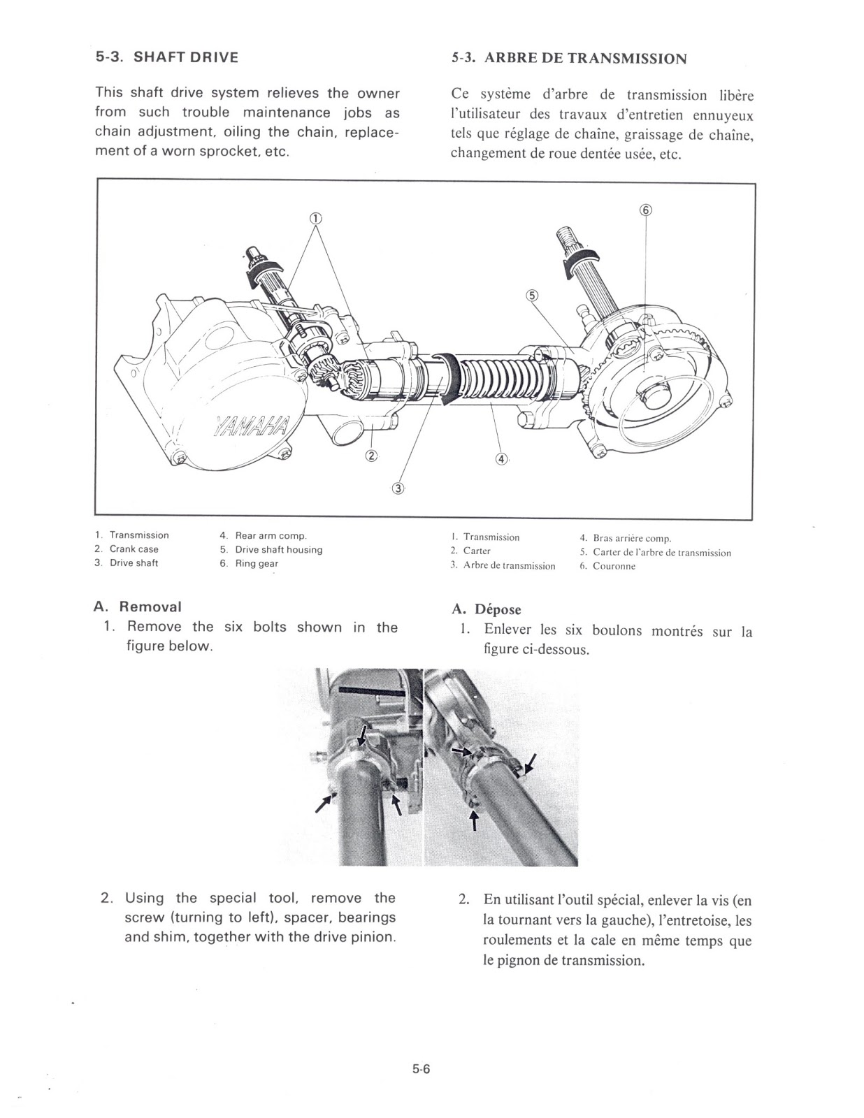 YAMAHA 50TLR SERVICE MANUAL PDF visual data 3