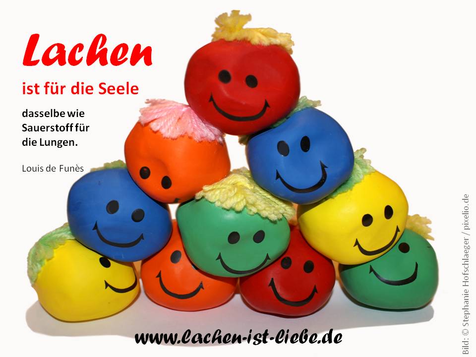 Lustige Bilder der Welt: Ein Lächeln für die Seele!