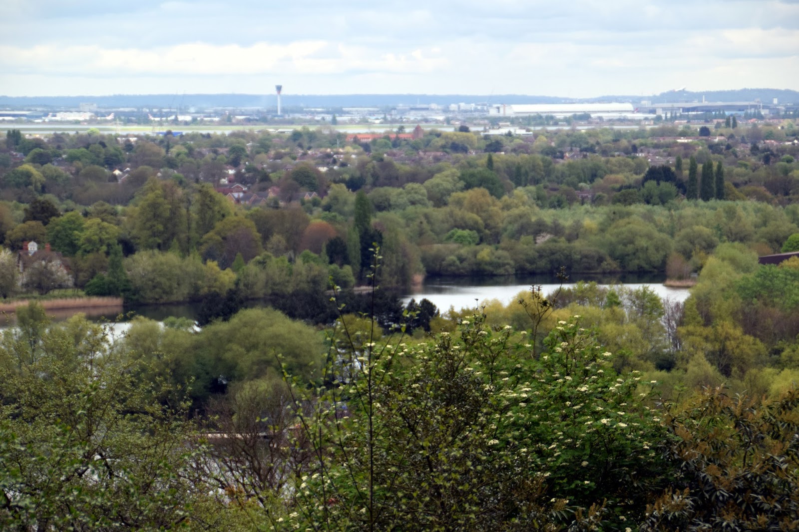 Enjoy your time with beautiful places St Ann's Hill, St Ann's Hill