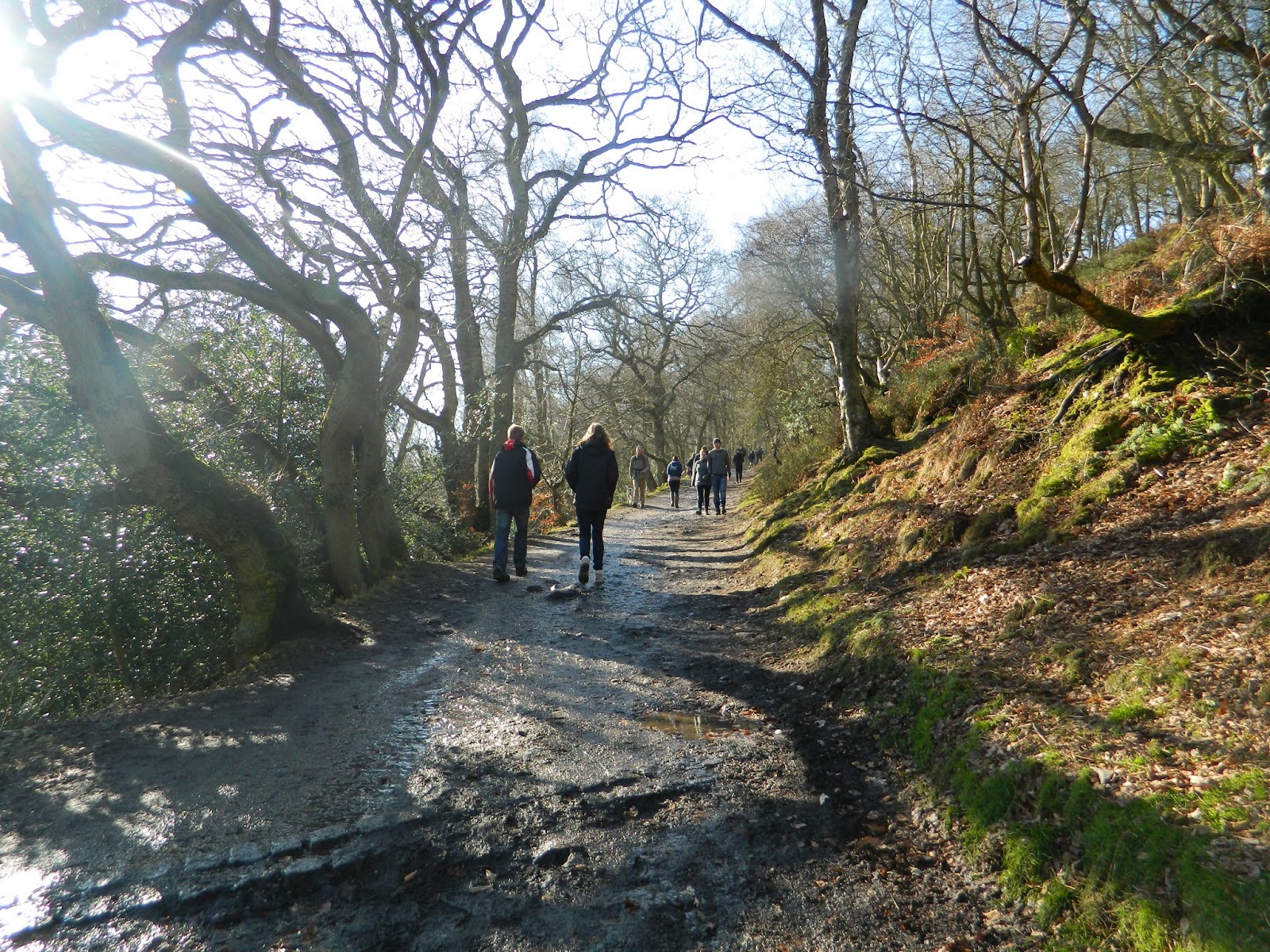 Walkies and Cheescake A Walk Round The Wrekin