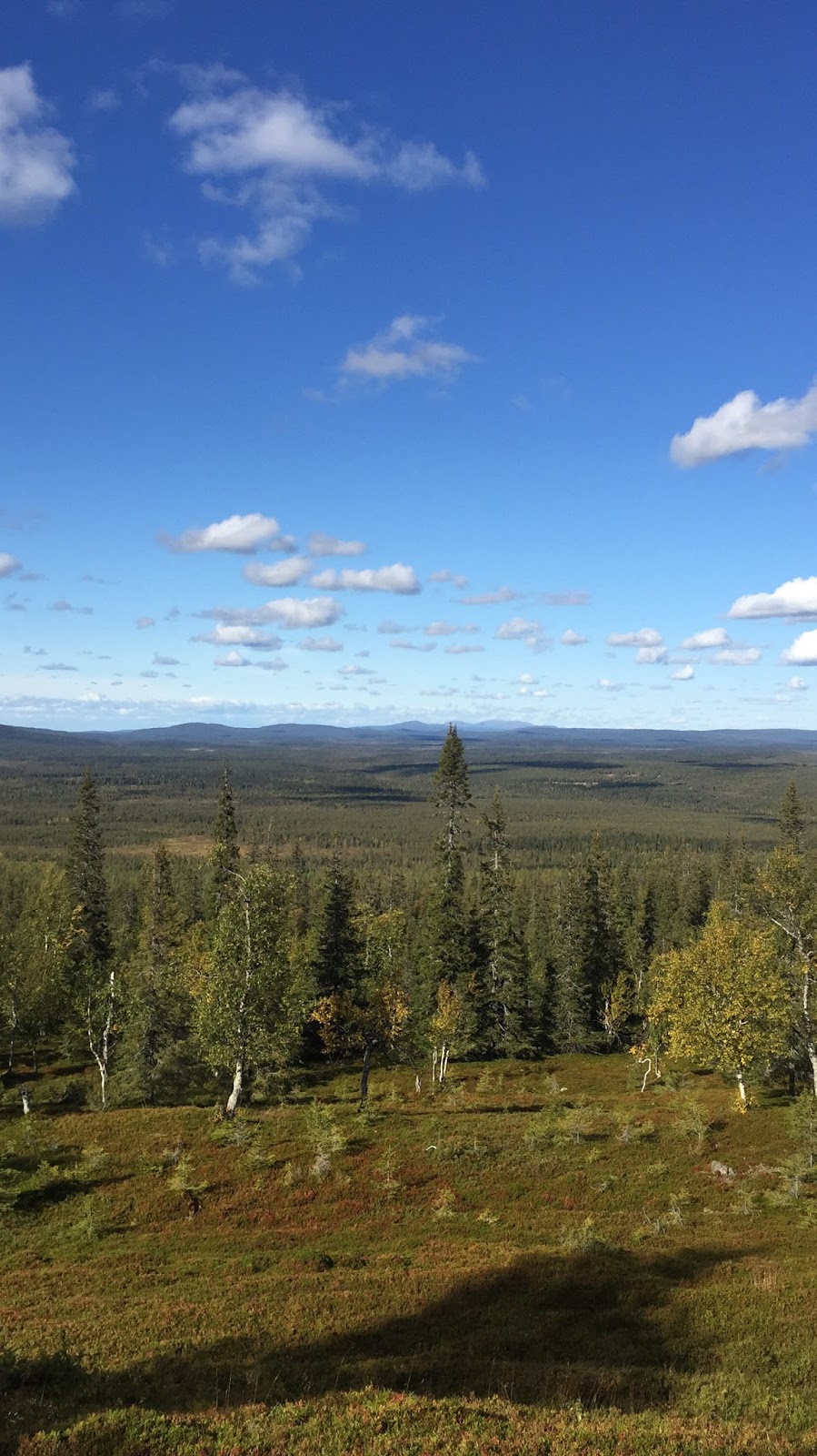 Leasing bin suku puoli