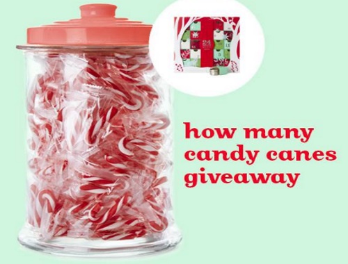 David's Tea How Many the Candy Canes Giveawayv
