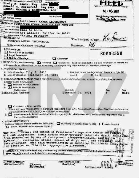 The divorce papers filed by Amber Rose to dissolve marriage with Wiz Khalifa.