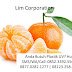 Panduan Lengkap Cara Budidaya Jeruk Mandarin Buat Pemula Semoga Cepat Berbuah Dan Lebat