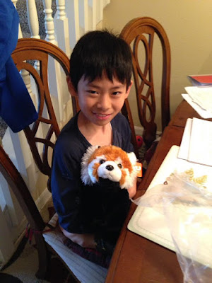 Boy and his new plush Red Panda