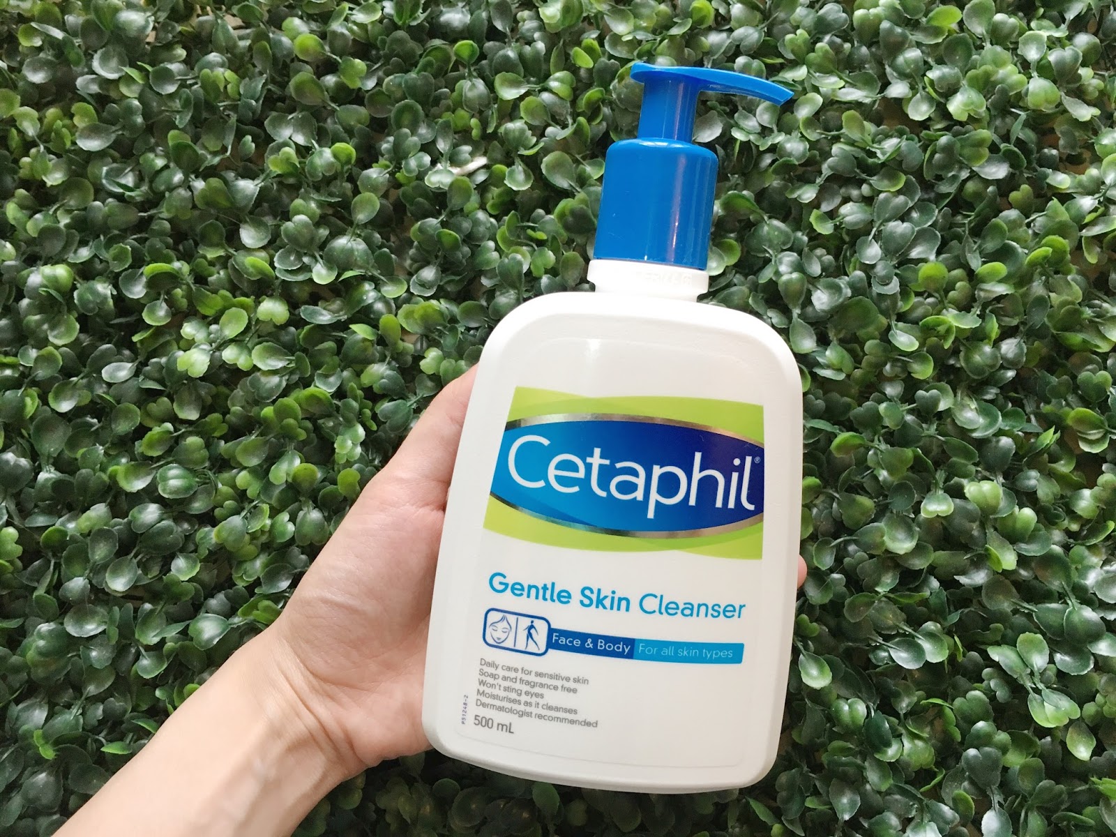 cara guna cetaphil moisturizing cream