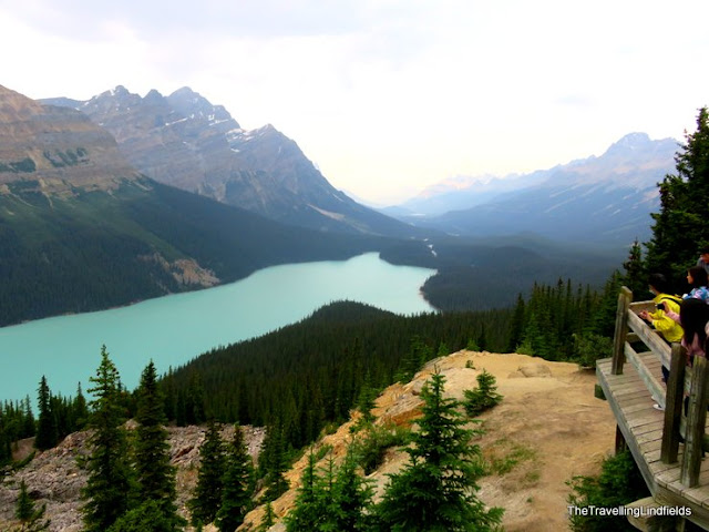 Peyto Lake, The Icefields Parkway