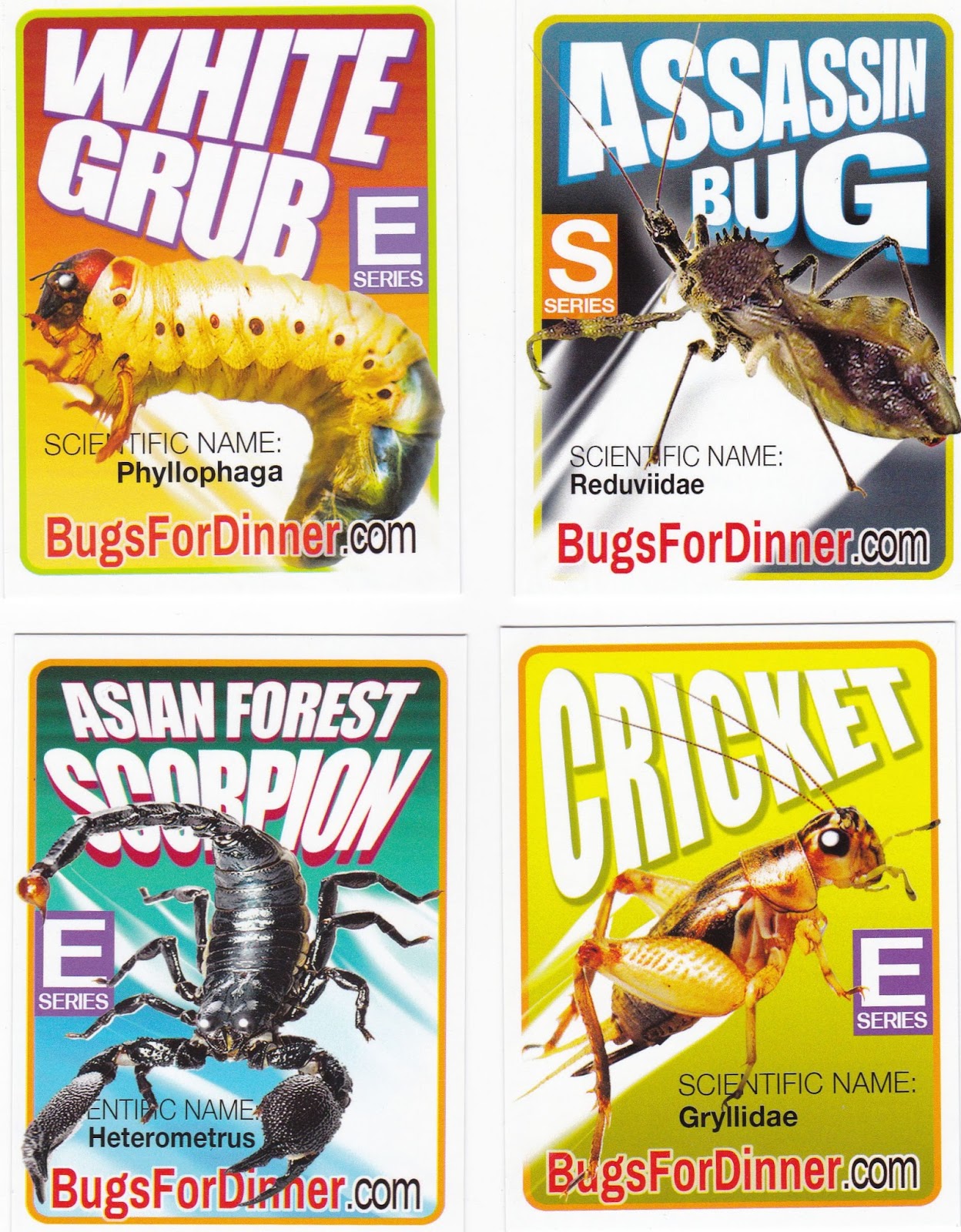 BUG CARDS October 2015 BUG CARDS October 2015