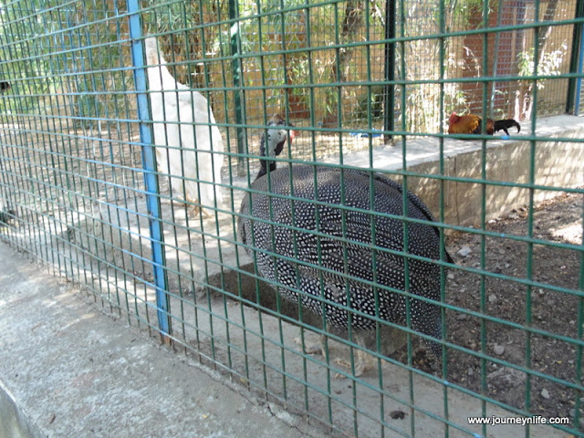Gulbarga Government Zoo, Karnataka