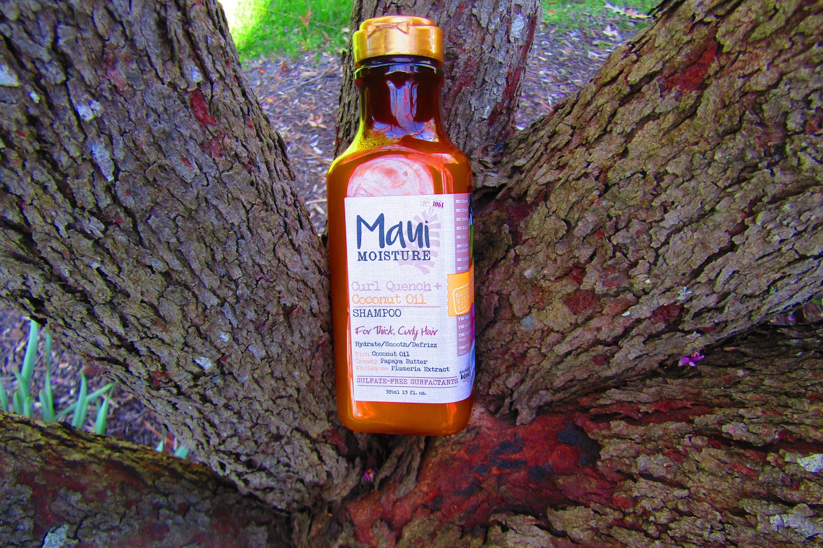 Lily Foster : Maui Moisture