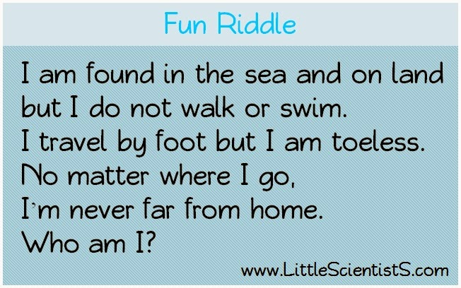 Little Scientists Blog Fun Riddles Q A 1