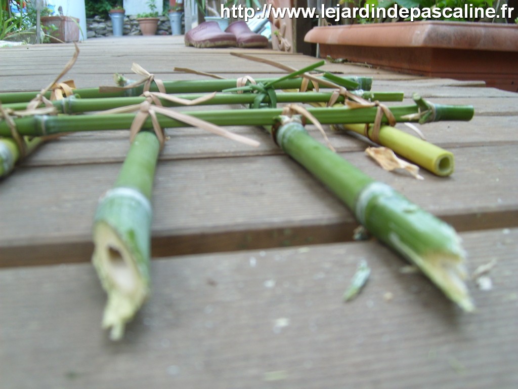 LE JARDIN DE PASCALINE Tuteur en bambou