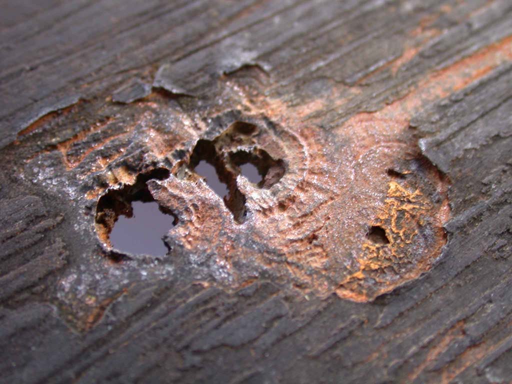 CHASING GREEN Microbial Corrosion