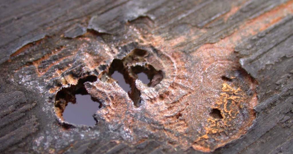 CHASING GREEN Microbial Corrosion