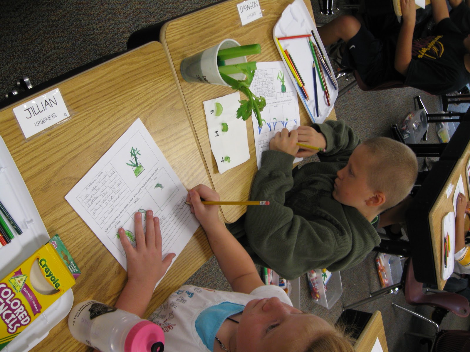 A Day in 3K Celery Experiment