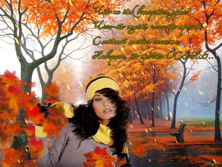 Осеннее настроение. Осень ты прекрасна. Осень пришла. Середина осени.