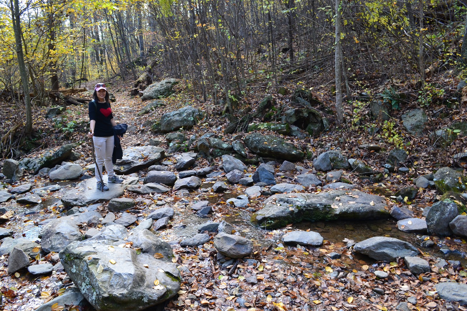 Nanda & Nathan The Travellers: Fall Foliage at Shenandoah National Park