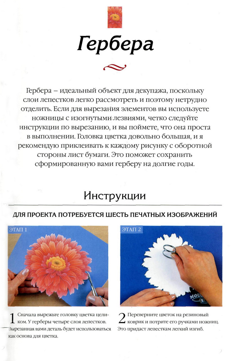 инвертированные цвета. инвертированными цветами. инвертированные цвета. инверсия цветов. инвертированными цветами.