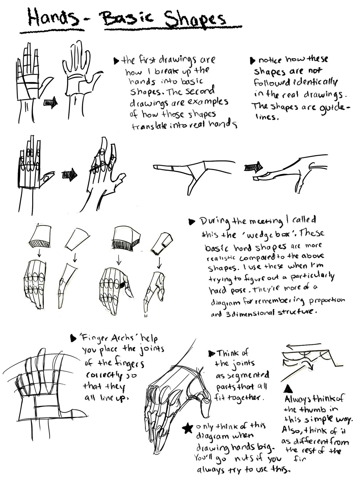 The Animation Student Collective Blog: Hand Drawing Tutorial Notes