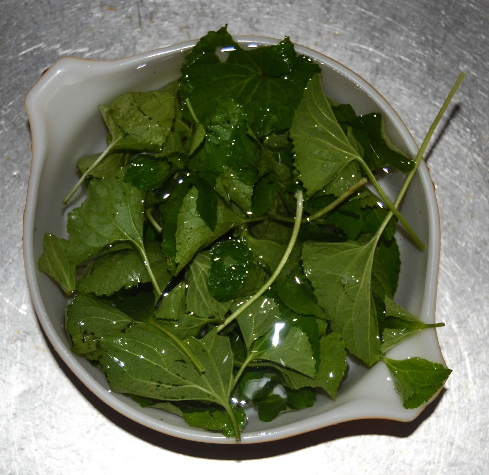 Wild Violet Leaves Benefits. Creative Little Carrie