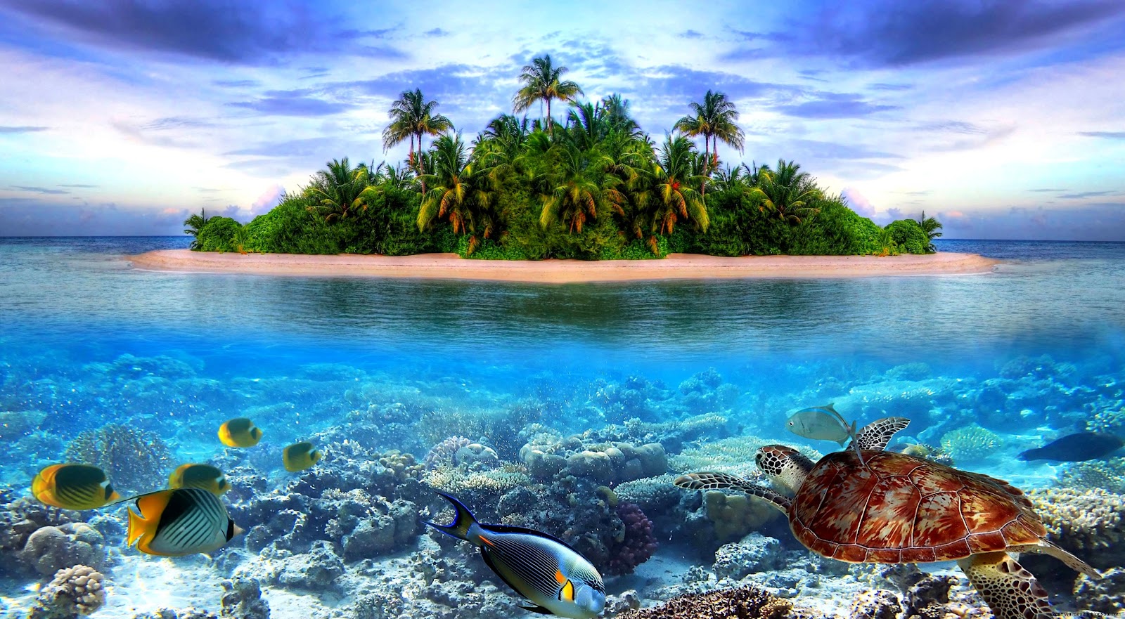 4K Desktop Backgrounds Tropical