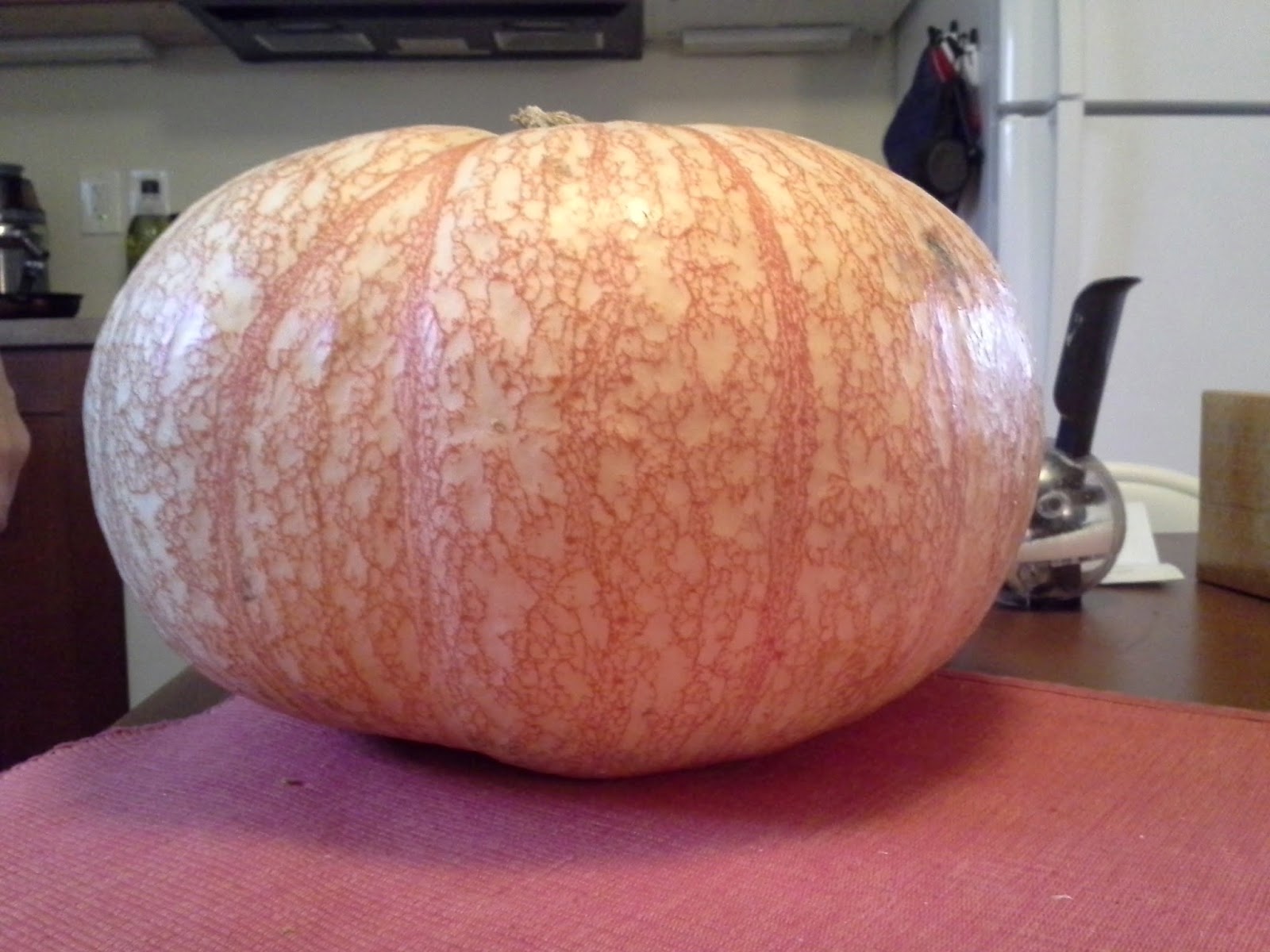 Exploring Trader Joe's Trader Joe's Pumpkin