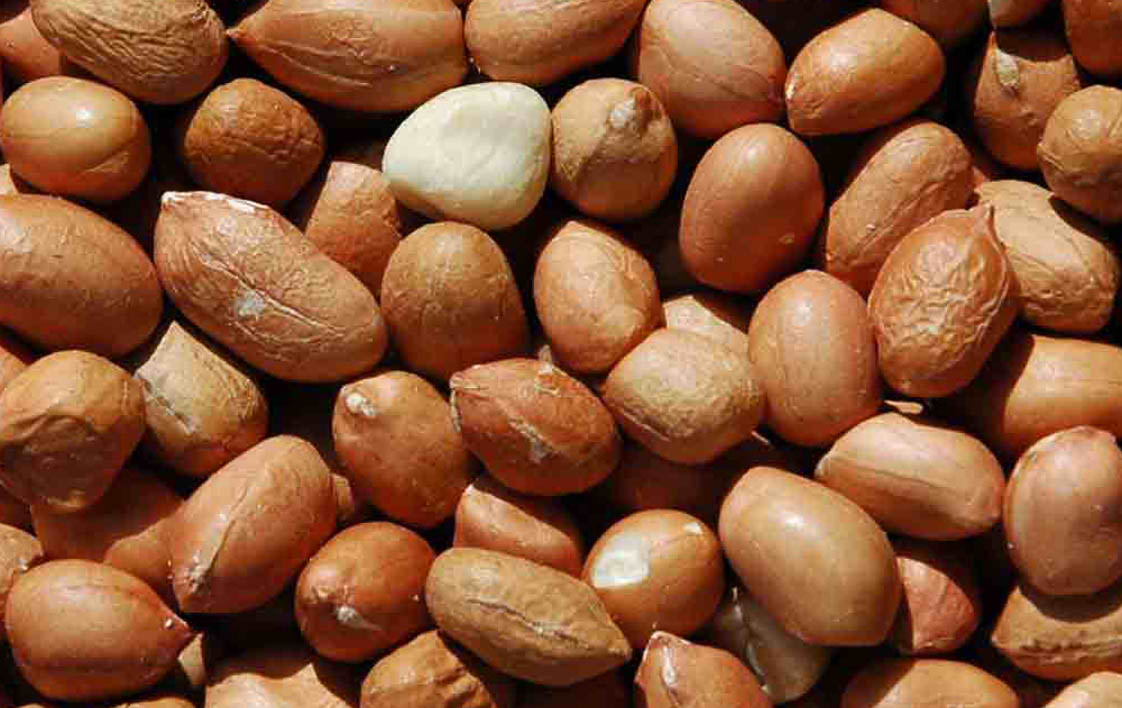 FINALLY REVEALED HERE’S WHAT HAPPENS IF YOU EAT PEANUTS EVERY DAY! OFW Portal Your Daily