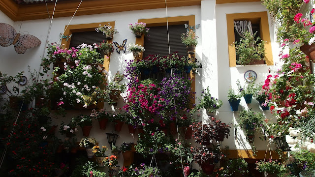 Tan solo hemos visto un patio que no tenía fuente ni pozo pero, en